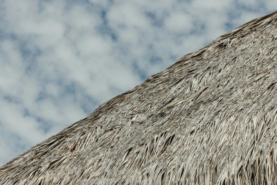 Naprawa dachów z trzciny – kiedy wystarczy konserwacja, a kiedy potrzebny jest remont?