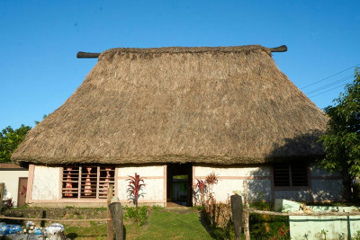 Dachy z trzciny pomorskie – tradycja regionu i współczesne realizacje