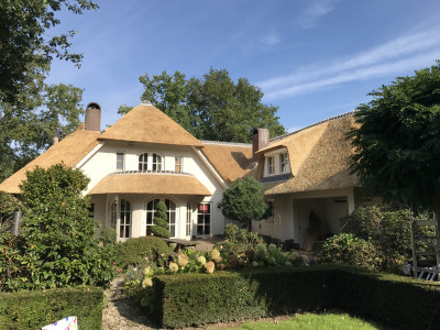 Jak długo wytrzymuje dobrze wykonany dach z trzciny?