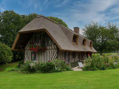 Reed roofs